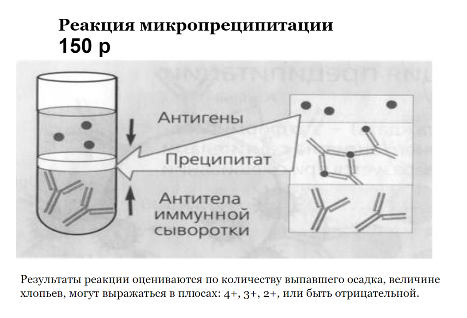 Реакция микропреципитации