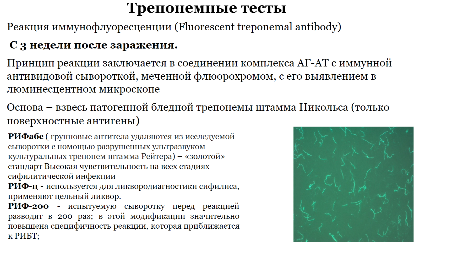 РИФ при сифилисе реакция иммунофлюорисценции